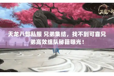 天龙八部私服 兄弟集结，找不到可靠兄弟高效组队秘籍曝光！