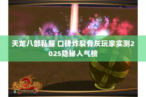 天龙八部私服 口碑炸裂骨灰玩家实测2025隐秘人气榜
