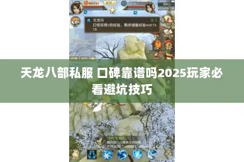 天龙八部私服 口碑靠谱吗2025玩家必看避坑技巧