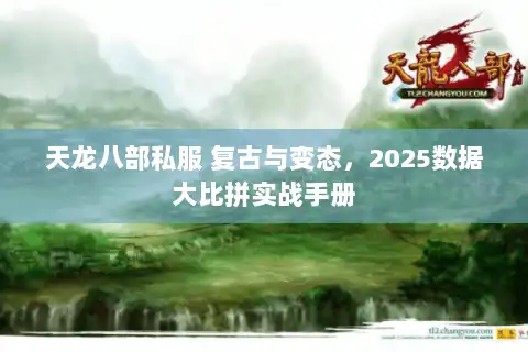 天龙八部私服 复古与变态，2025数据大比拼实战手册