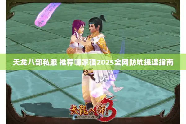 天龙八部私服 推荐哪家强2025全网防坑提速指南