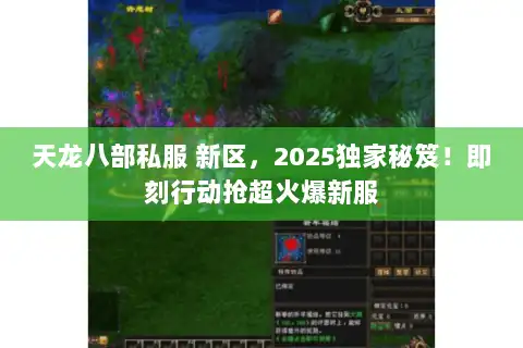 天龙八部私服 新区，2025独家秘笈！即刻行动抢超火爆新服