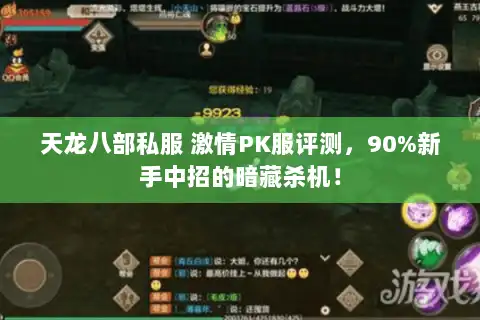 天龙八部私服 激情PK服评测，90%新手中招的暗藏杀机！