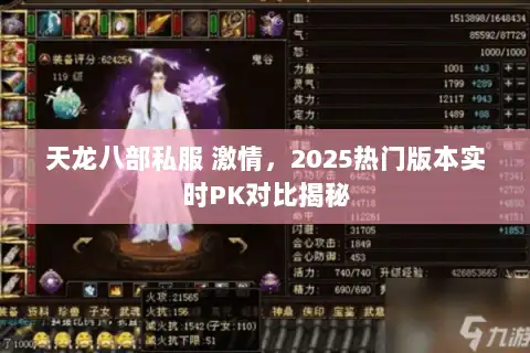 天龙八部私服 激情，2025热门版本实时PK对比揭秘