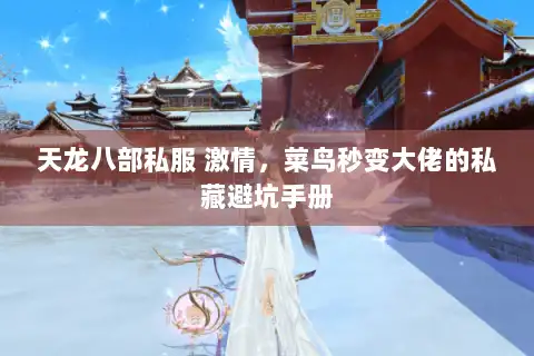 天龙八部私服 激情，菜鸟秒变大佬的私藏避坑手册