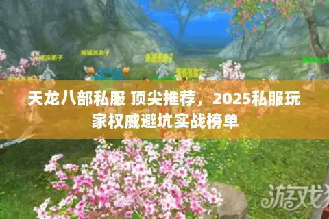 天龙八部私服 顶尖推荐,2025私服玩家权威避坑实战榜单 天龙八部私服 顶尖推荐,2025私服玩家权威避坑实战榜单