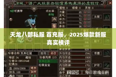 天龙八部私服 首充服，2025爆款新服真实横评