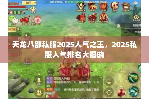 天龙八部私服2025人气之王，2025私服人气排名大揭晓