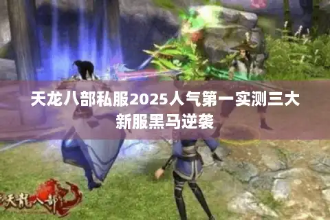 天龙八部私服2025人气第一实测三大新服黑马逆袭