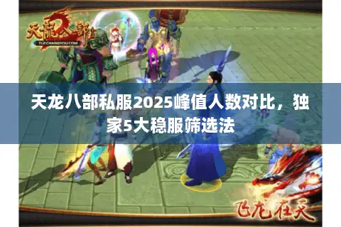 天龙八部私服2025峰值人数对比，独家5大稳服筛选法