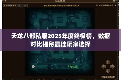 天龙八部私服2025年度终极榜，数据对比揭秘最佳玩家选择