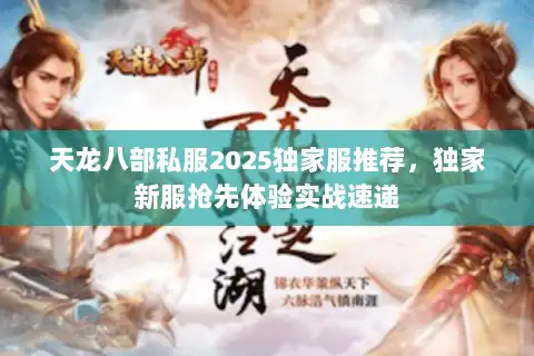 天龙八部私服2025独家服推荐，独家新服抢先体验实战速递