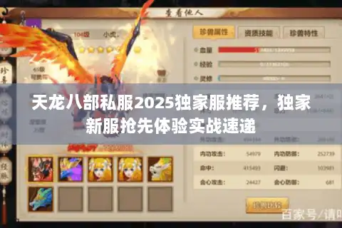 天龙八部私服2025独家服推荐，独家新服抢先体验实战速递