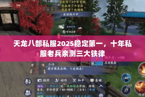 天龙八部私服2025稳定第一，十年私服老兵亲测三大铁律