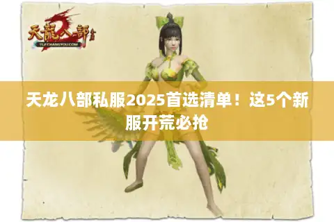 天龙八部私服2025首选清单！这5个新服开荒必抢