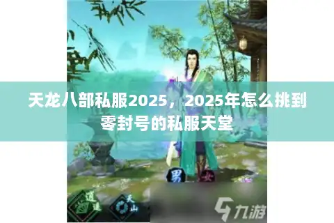 天龙八部私服2025，2025年怎么挑到零封号的私服天堂