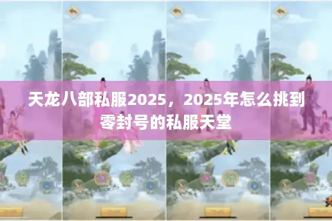 天龙八部私服2025，2025年怎么挑到零封号的私服天堂