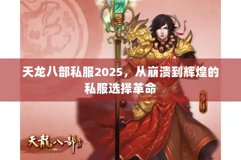 天龙八部私服2025，从崩溃到辉煌的私服选择革命