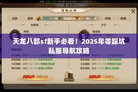 天龙八部sf新手必看！2025年零踩坑私服导航攻略