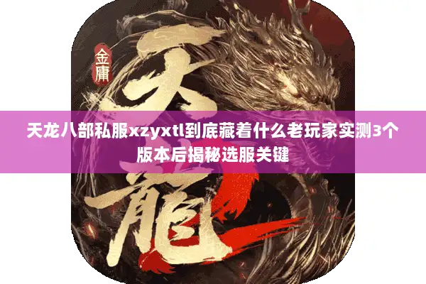 天龙八部私服xzyxtl到底藏着什么老玩家实测3个版本后揭秘选服关键