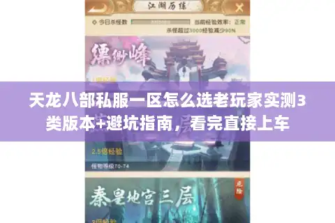 天龙八部私服一区怎么选老玩家实测3类版本+避坑指南，看完直接上车
