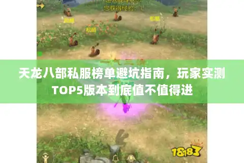 天龙八部私服榜单避坑指南,玩家实测TOP5版本到底值不值得进 天龙八部私服榜单避坑指南,玩家实测TOP5版本到底值不值得进