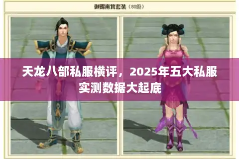 天龙八部私服横评，2025年五大私服实测数据大起底