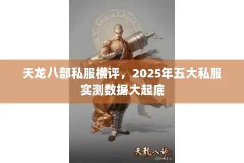 天龙八部私服横评，2025年五大私服实测数据大起底