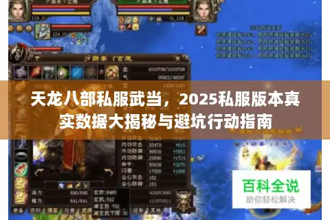 天龙八部私服武当，2025私服版本真实数据大揭秘与避坑行动指南