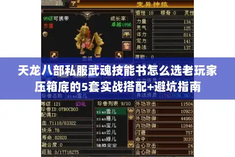 天龙八部私服武魂技能书怎么选老玩家压箱底的5套实战搭配+避坑指南