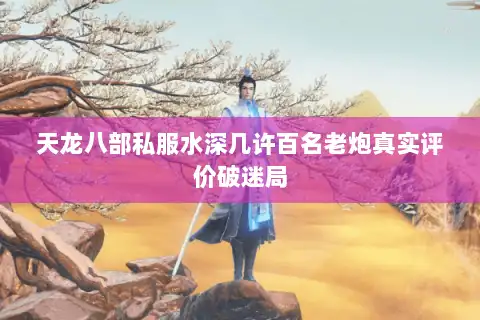 天龙八部私服水深几许百名老炮真实评价破迷局