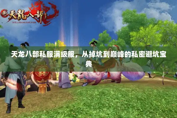 天龙八部私服满级服,从掉坑到巅峰的私密避坑宝典 天龙八部私服满级服,从掉坑到巅峰的私密避坑宝典