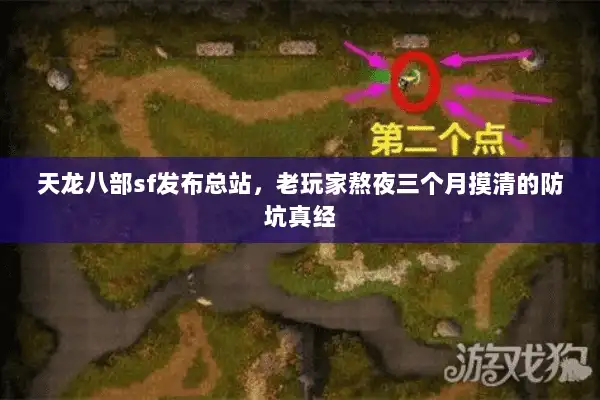 天龙八部sf发布总站,老玩家熬夜三个月摸清的防坑真经 天龙八部sf发布总站,老玩家熬夜三个月摸清的防坑真经