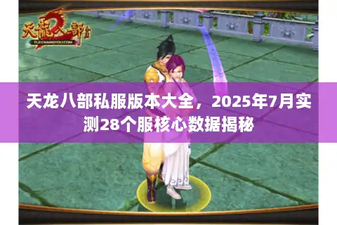 天龙八部私服版本大全，2025年7月实测28个服核心数据揭秘