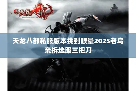 天龙八部私服版本挑到眼晕2025老鸟亲拆选服三把刀