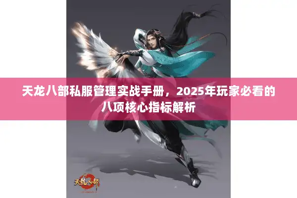 天龙八部私服管理实战手册，2025年玩家必看的八项核心指标解析