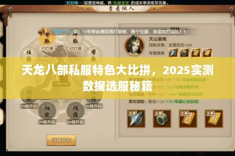 天龙八部私服特色大比拼,2025实测数据选服秘籍 天龙八部私服特色大比拼,2025实测数据选服秘籍