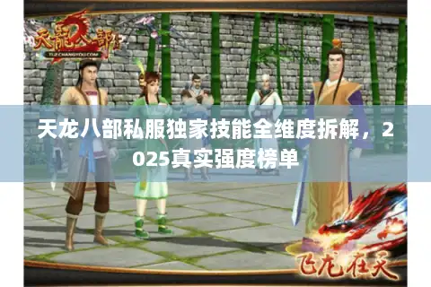 天龙八部私服独家技能全维度拆解，2025真实强度榜单