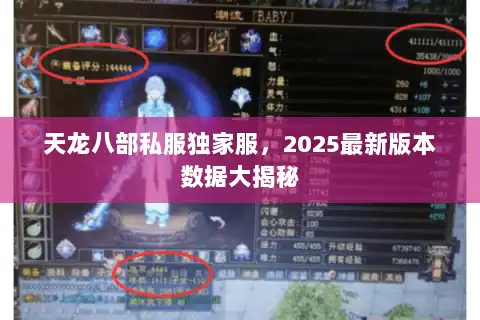 天龙八部私服独家服，2025最新版本数据大揭秘