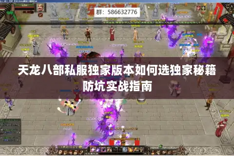天龙八部私服独家版本如何选独家秘籍防坑实战指南
