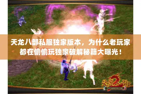 天龙八部私服独家版本，为什么老玩家都在偷偷玩独家破解秘籍大曝光！