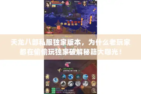 天龙八部私服独家版本，为什么老玩家都在偷偷玩独家破解秘籍大曝光！
