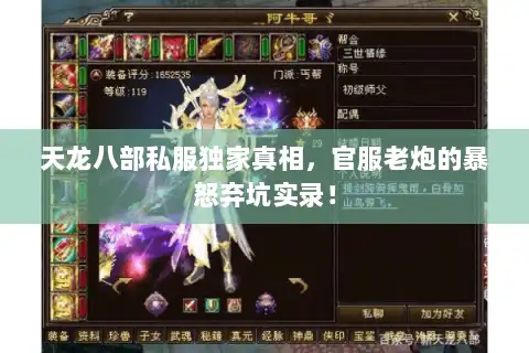 天龙八部私服独家真相，官服老炮的暴怒弃坑实录！