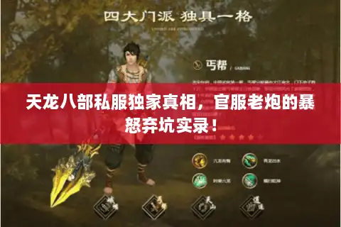 天龙八部私服独家真相，官服老炮的暴怒弃坑实录！