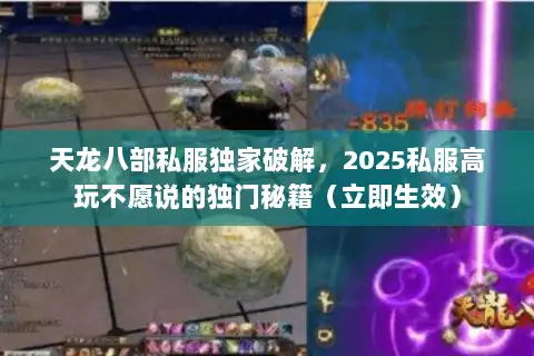 天龙八部私服独家破解，2025私服高玩不愿说的独门秘籍（立即生效）