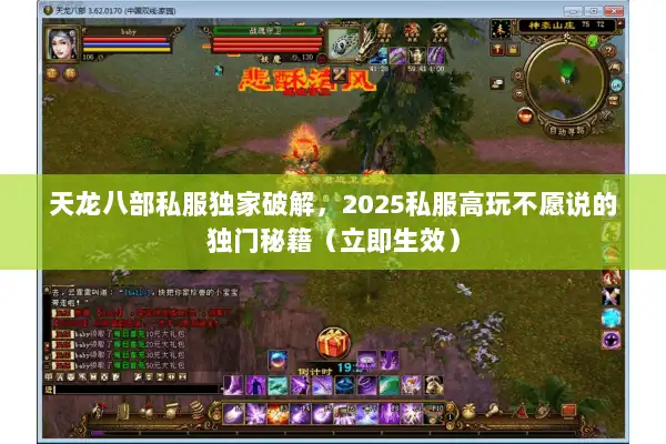 天龙八部私服独家破解，2025私服高玩不愿说的独门秘籍（立即生效）