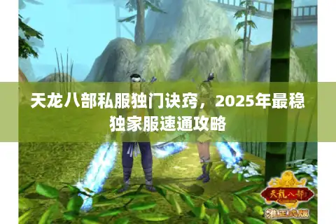 天龙八部私服独门诀窍，2025年最稳独家服速通攻略