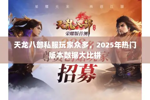 天龙八部私服玩家众多，2025年热门版本数据大比拼