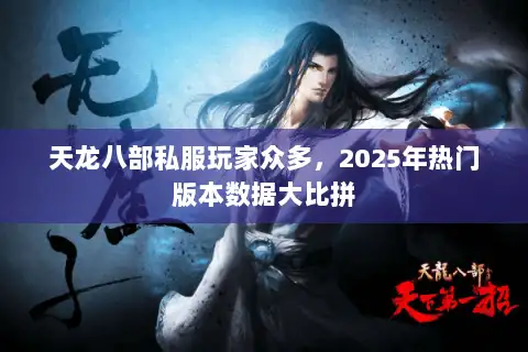 天龙八部私服玩家众多，2025年热门版本数据大比拼