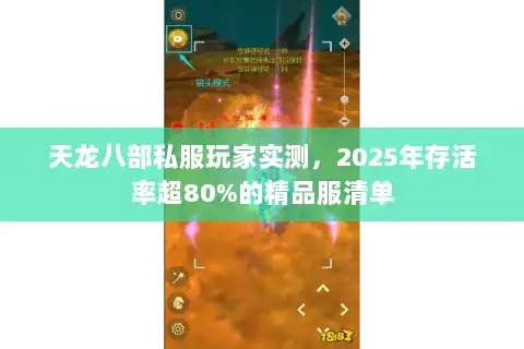天龙八部私服玩家实测，2025年存活率超80%的精品服清单